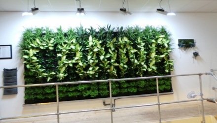 Groene Belettering