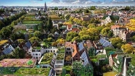 Groene stadsbeplanting