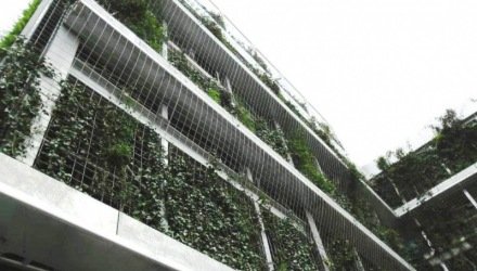 Verticale gevel planten