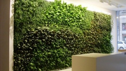Wandbeplanting op kantoor
